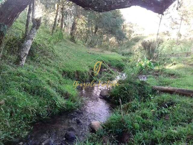 #161 - Chácara para Venda em Bom Retiro - SC - 3