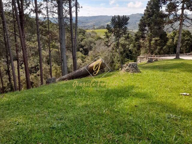 Chácara para Venda em Rancho Queimado - 5