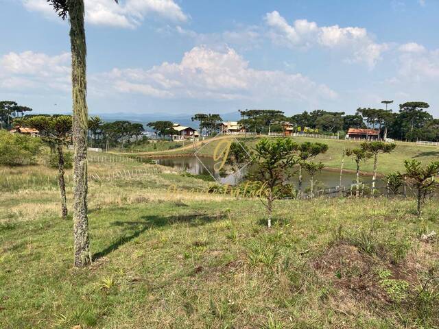 #185 - Terreno para Venda em Painel - SC