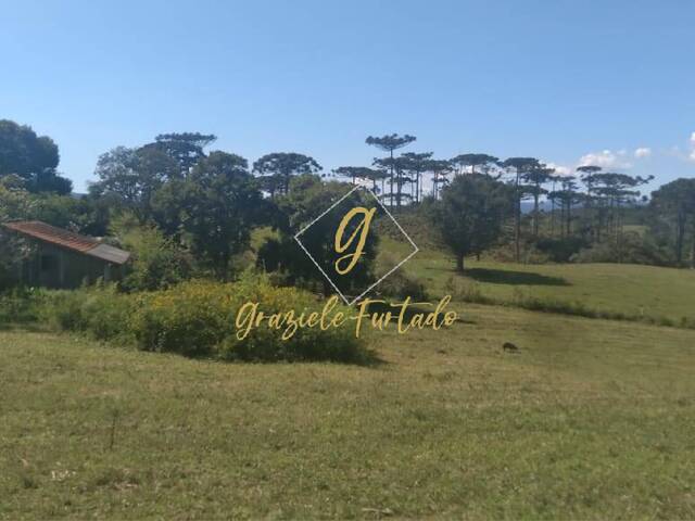 Chácara para Venda em Bom Retiro - 4