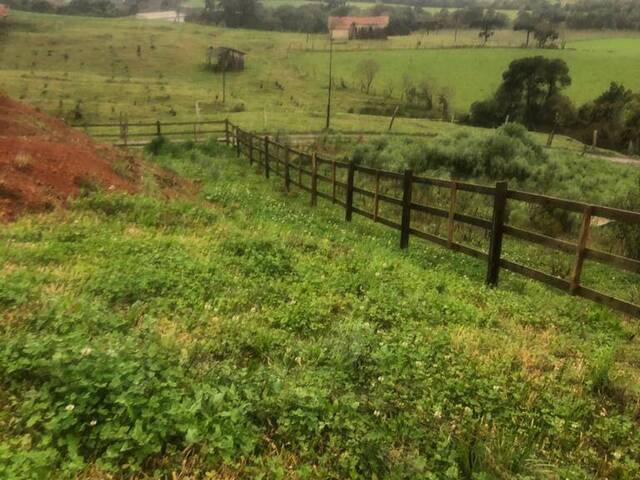 #207 - Área para Venda em Urubici - SC - 1