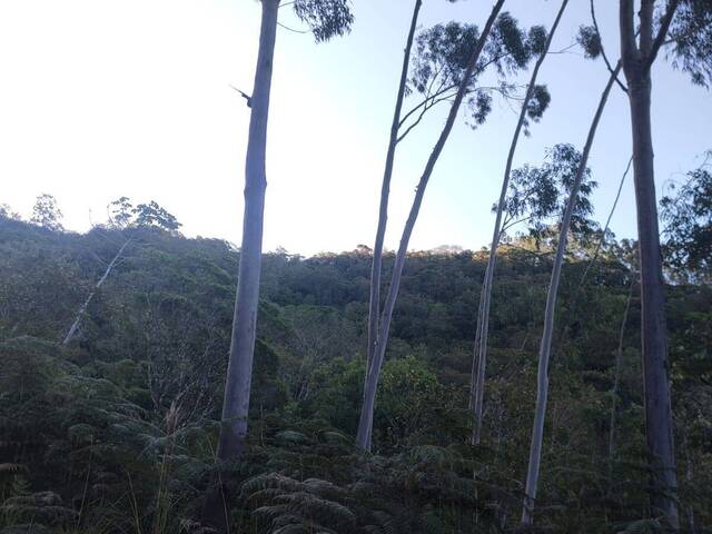 Área para Venda em São Pedro de Alcântara - 5
