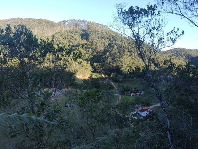 Área para Venda em São Pedro de Alcântara - 4