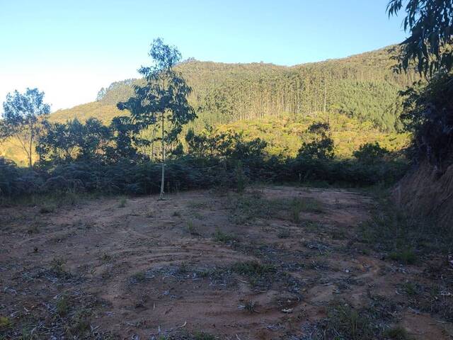 Venda em ALTO VARGINHA - São Pedro de Alcântara