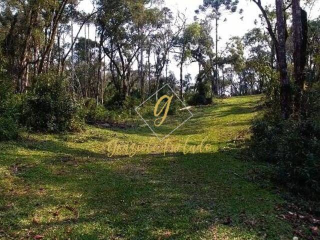 Chácara para Venda em Rio Rufino - 4