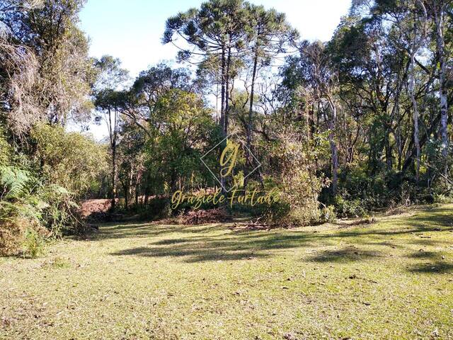 Chácara para Venda em Rio Rufino - 5
