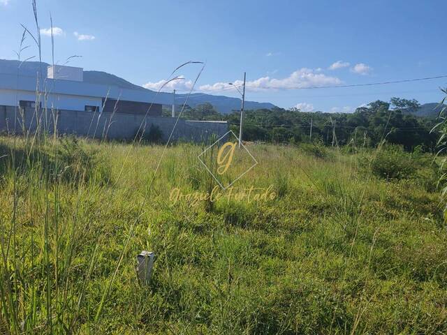 #236 - Área para Venda em São José - SC