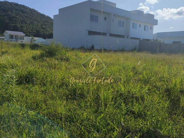 #236 - Área para Venda em São José - SC