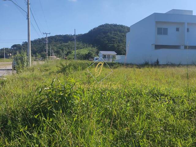 #236 - Área para Venda em São José - SC