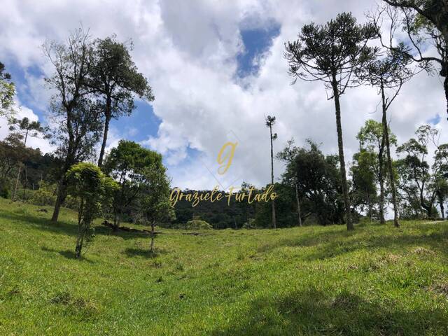 #243 - Chácara para Venda em Bom Retiro - SC - 1