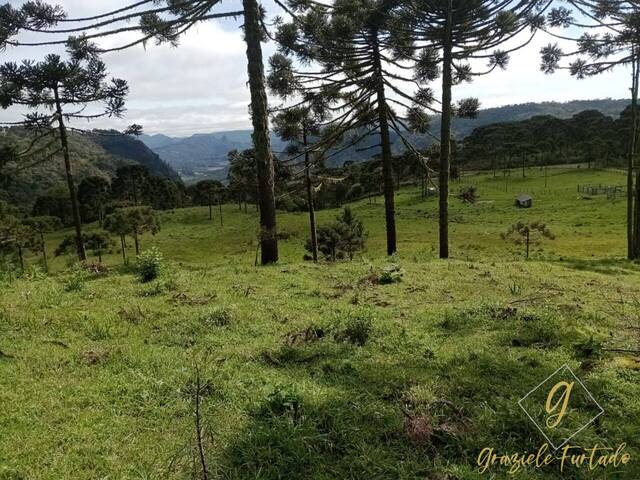 #269 - Chácara para Venda em Rio Rufino - SC - 2