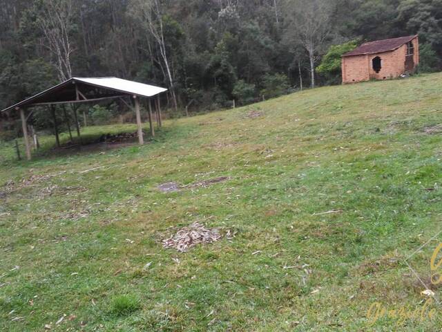 Chácara para Venda em Bom Retiro - 5