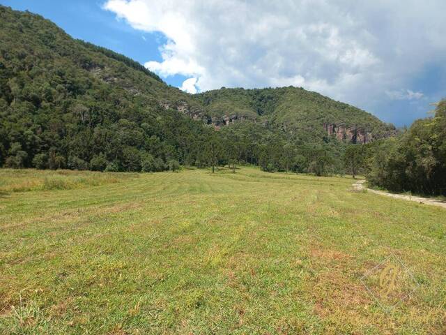 #278 - Chácara para Venda em Rio Rufino - SC - 1