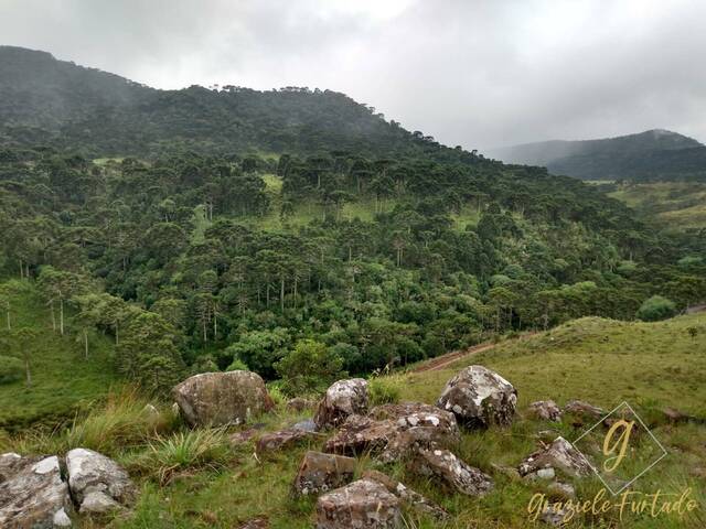 #287 - Área para Venda em Urubici - SC - 1