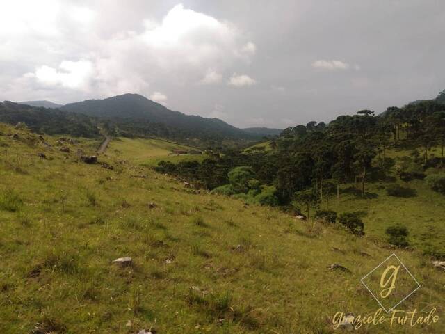 Área para Venda em Urubici - 5
