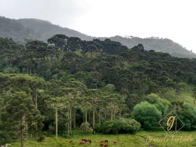 Área para Venda em Urubici - 4