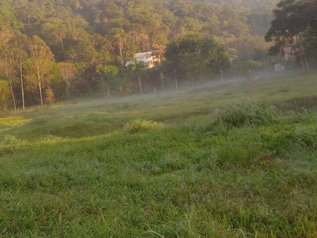 #306 - Área para Venda em Santo Amaro da Imperatriz - SC - 1