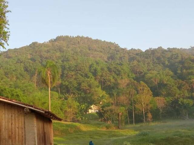 Área para Venda em Santo Amaro da Imperatriz - 4