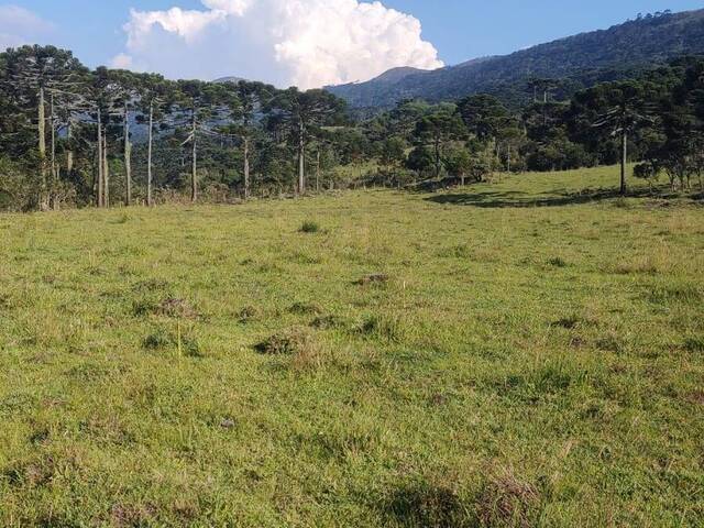 #327 - Chácara para Venda em Urubici - SC - 1