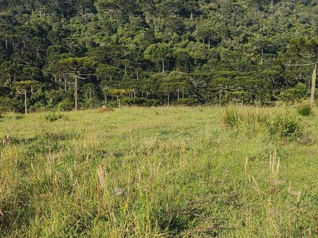 Chácara para Venda em Urubici - 4