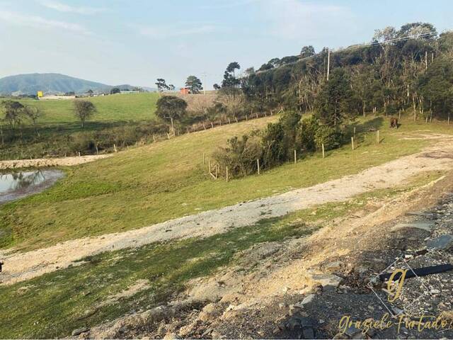 #337 - Chácara para Venda em Bom Retiro - SC - 3