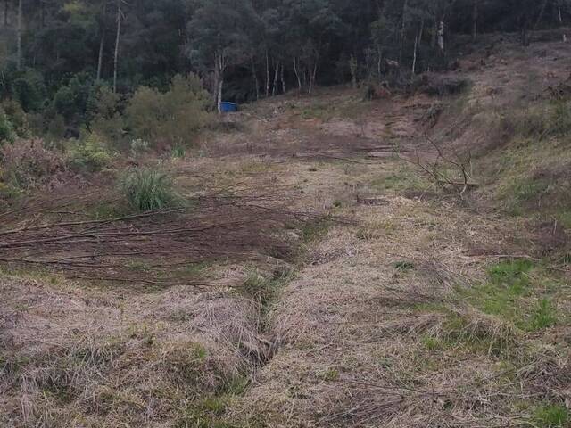 #262 - Chácara para Venda em Urubici - SC - 1