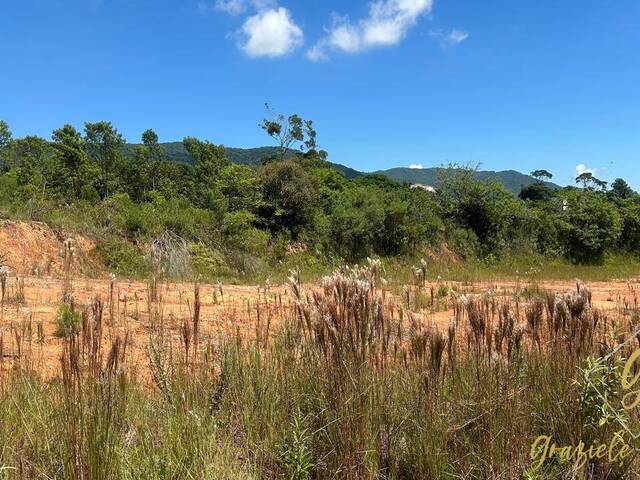 Área para Venda em São José - 4