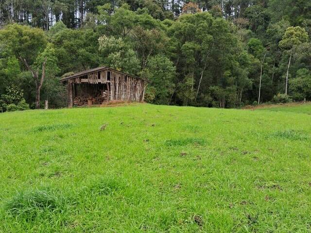 Chácara para Venda em Bom Retiro - 4