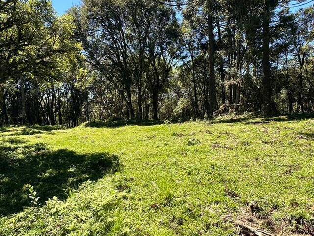 #355 - Chácara para Venda em Urubici - SC - 2