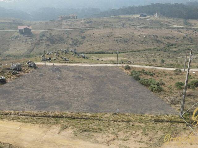 #357 - Área para Venda em Bom Jardim da Serra - SC - 2