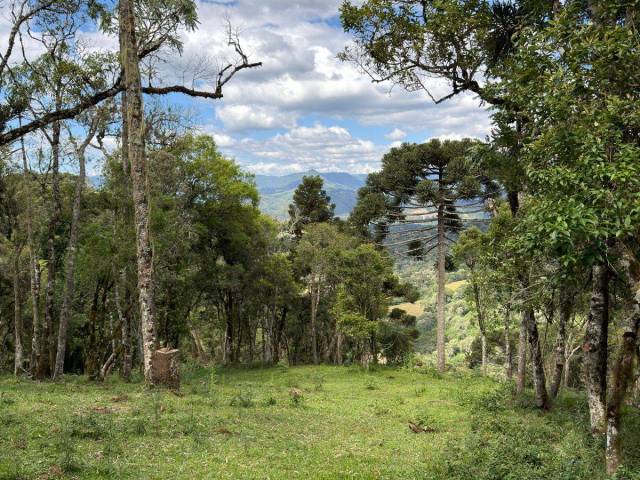 #358 - Chácara para Venda em Urubici - SC - 2