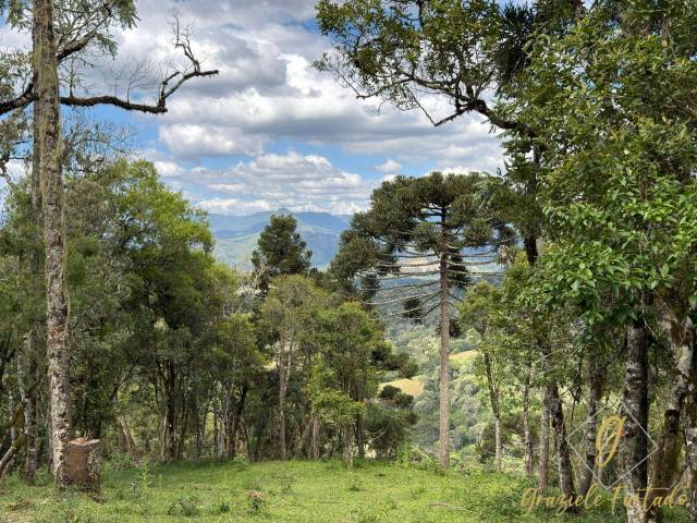 #358 - Chácara para Venda em Urubici - SC - 1