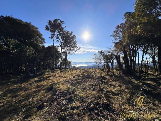 #361 - Sítio para Venda em Urubici - SC - 2
