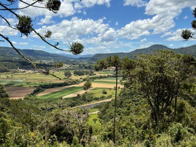 Venda em Santa Terezinha - Urubici