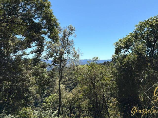 #364 - Chácara para Venda em Urubici - SC