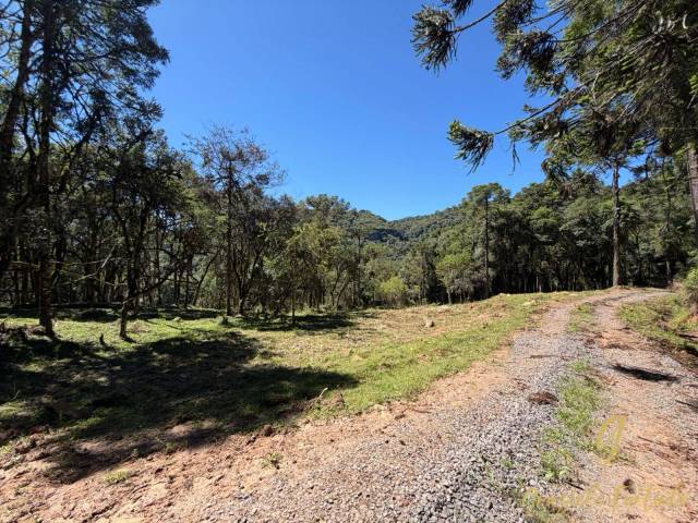 #364 - Chácara para Venda em Urubici - SC