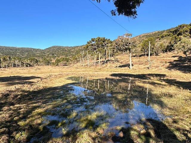 #366 - Chácara para Venda em Urubici - SC