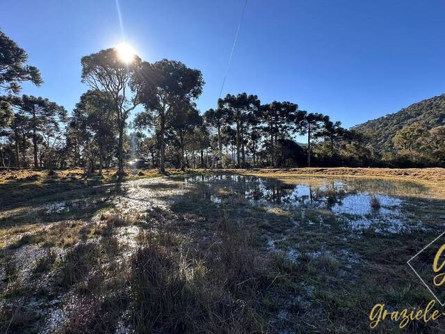#366 - Chácara para Venda em Urubici - SC