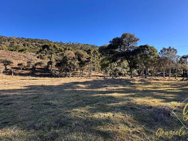 #366 - Chácara para Venda em Urubici - SC