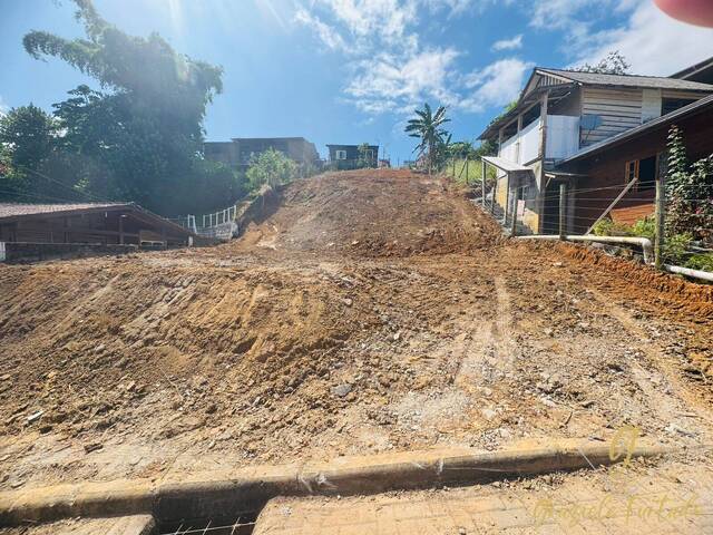 #368 - Área para Venda em Santo Amaro da Imperatriz - SC