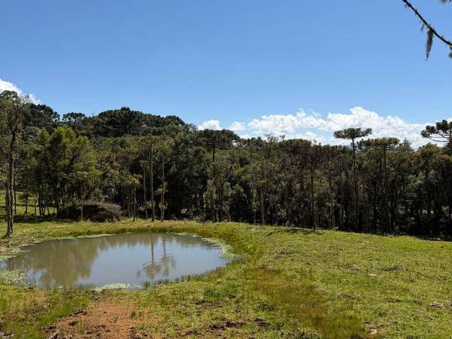 #371 - Chácara para Venda em Urubici - SC