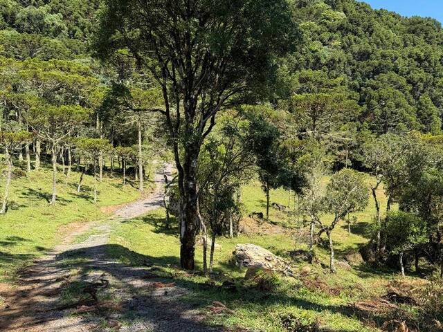 #371 - Chácara para Venda em Urubici - SC