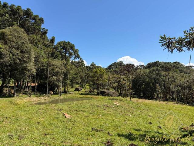 #371 - Chácara para Venda em Urubici - SC