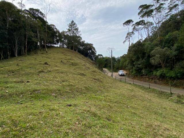 #375 - Chácara para Venda em Angelina - SC