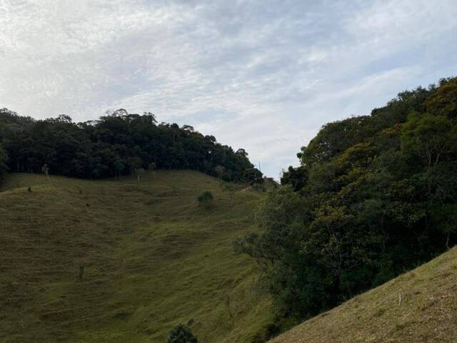 #375 - Chácara para Venda em Angelina - SC