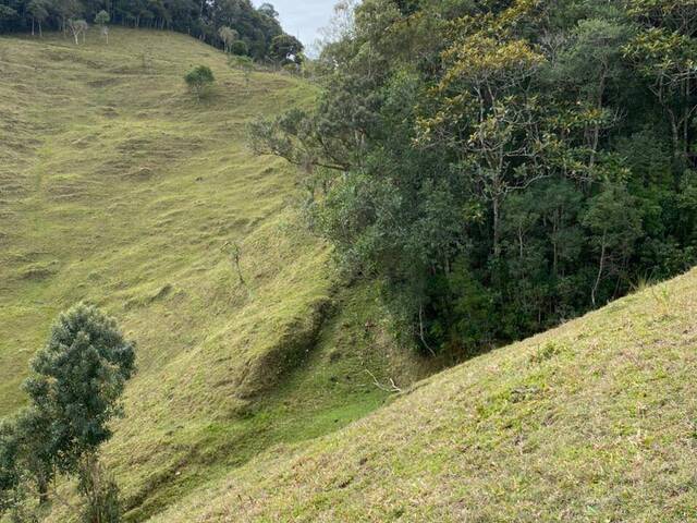 #375 - Chácara para Venda em Angelina - SC