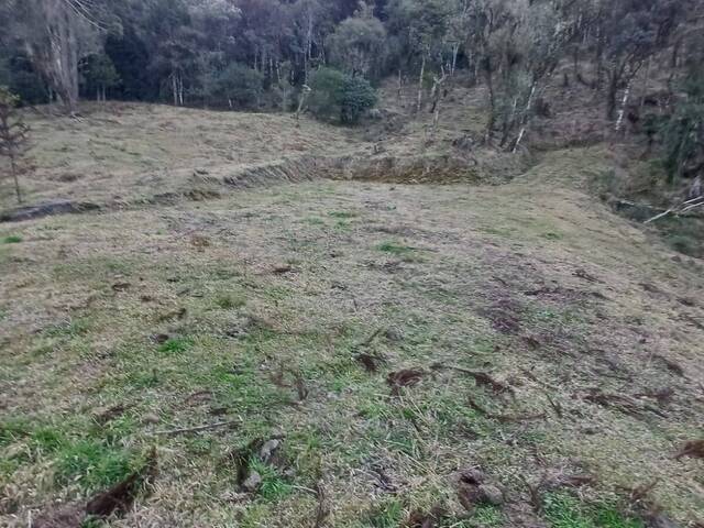 Chácara para Venda em Urubici - 3