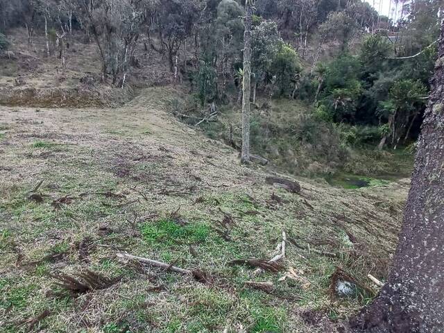 Chácara para Venda em Urubici - 5